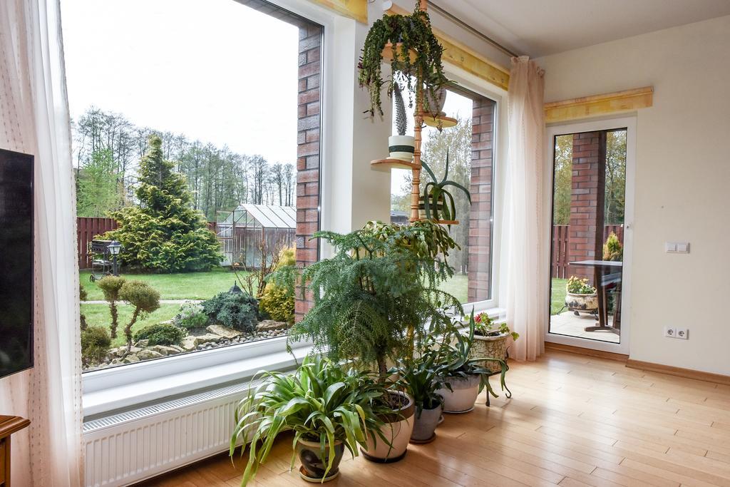 Apartamentai Pluke Palanga Extérieur photo